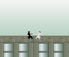 Bullet Time Fighting