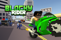 Blocky Rider