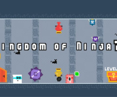 Kingdom of Ninja 7