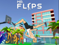 Mr Flip