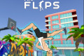 Mr Flip
