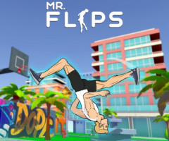Mr Flip