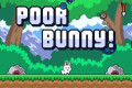 Poor Bunny