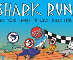 Shark Run