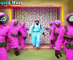 Squid Maze Challenge