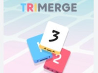 TriMerge