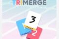 TriMerge