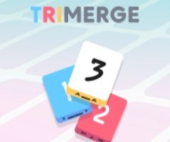 TriMerge