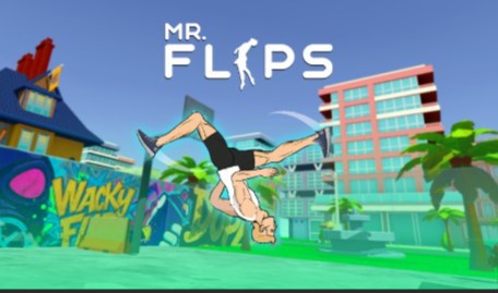Mr. Flip